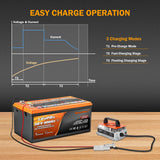 Enjoybot 43.8V 25A Waterproof Mountable LiFePO4 Lithium Battery Charger for 36V Lithium Battery