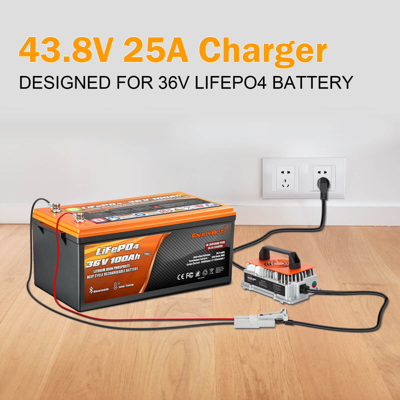 Enjoybot 43.8V 25A Waterproof Mountable LiFePO4 Lithium Battery Charger for 36V Lithium Battery