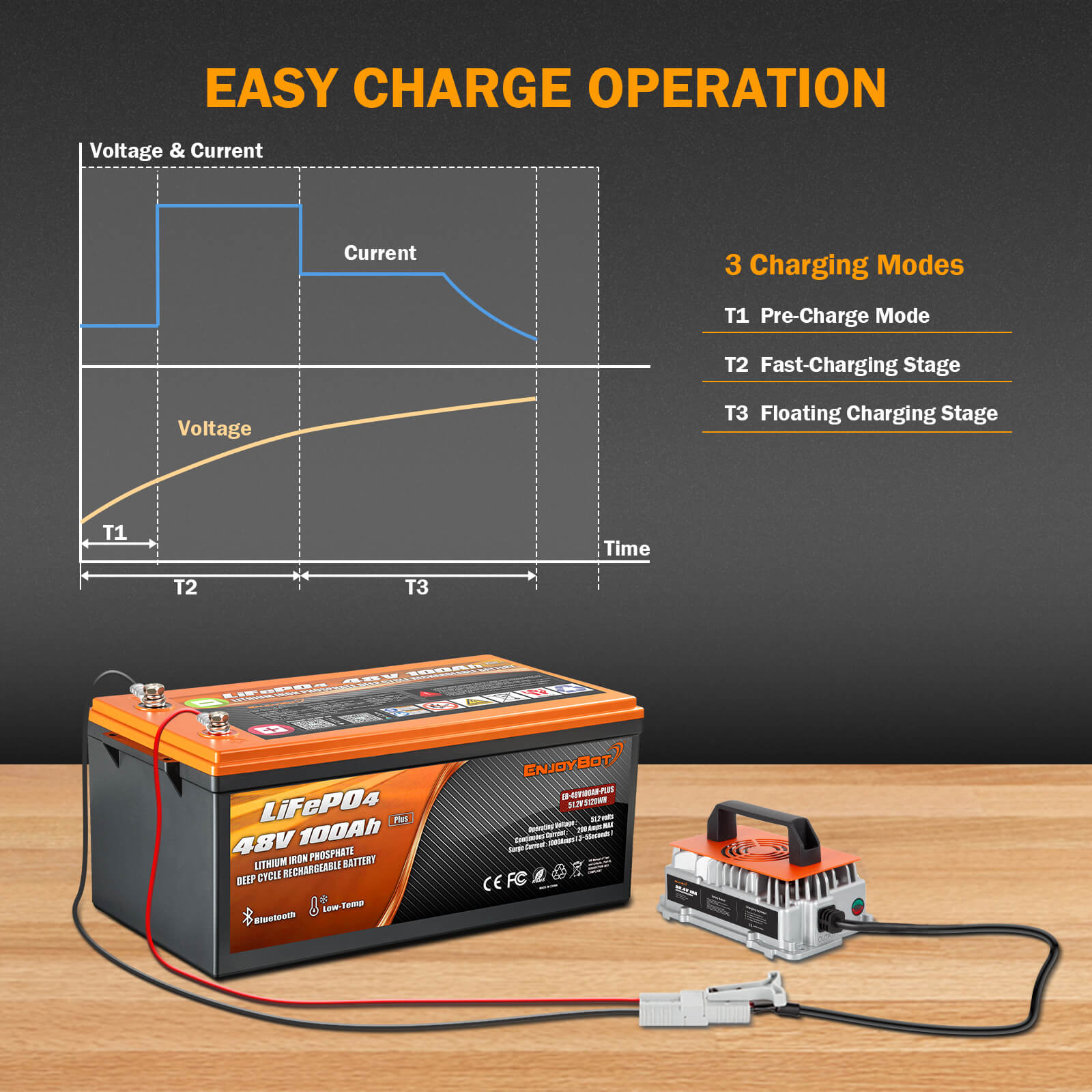 Enjoybot 58.4V 18A Waterproof Mountable LiFePO4 Lithium Battery Charger For 48V Lithium Batteries