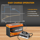Enjoybot 43.8v 12A lithium battery charger - 3 charging modes