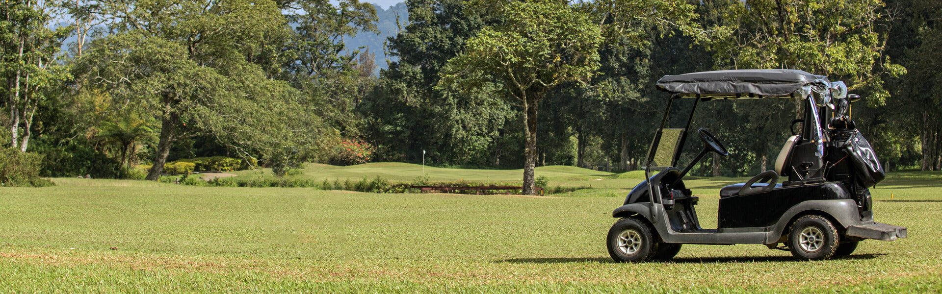 lithium golf cart battery