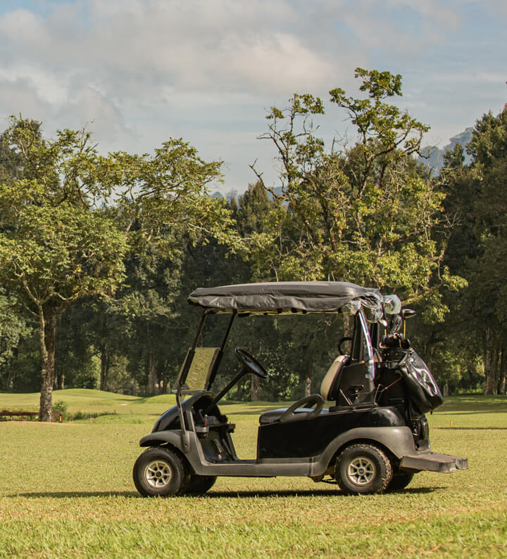 lithium ion golf cart batteries