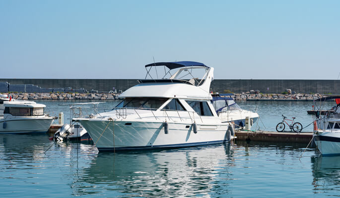 Enjoybot Official Store