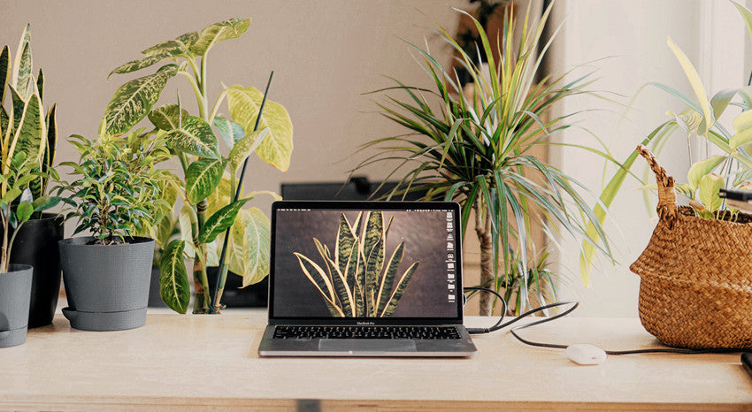 How Many Watts Does A Laptop Use