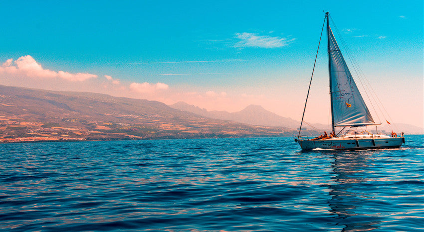 What Is the Best Marine Battery?