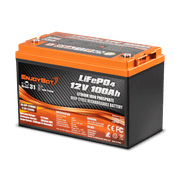 Enjoybot 12V 100Ah LiFePO4 Lithium Battery with Low-Temp Protection, 1280Wh, 100A BMS, Max 6S4P