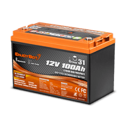 Enjoybot 12V 100Ah BT LiFePO4 Lithium Battery with Bluetooth & Low-Temp Protection, 1280Wh, 100A BMS