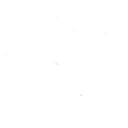 $20 OFF