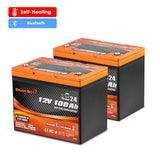 24V 100Ah Lithium Trolling Motor Battery Set- 2 12V 100Ah Group 24 Deep Cycle LiFePO4 Batteries 