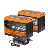 Enjoybot 36V 65Ah Self-Heating & Bluetooth Group 31 LiFePO4 Lithium Battery_2 Pack+43.8V 20A Charger