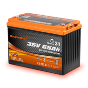 Enjoybot 36V 65AH Group 31 LiFePO4 Lithium Battery with Bluetooth & Self-Heating, 2496Wh, 120A BMS