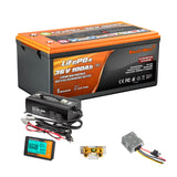 36v 100ah Plus Lithium Golf Cart Battery Kit