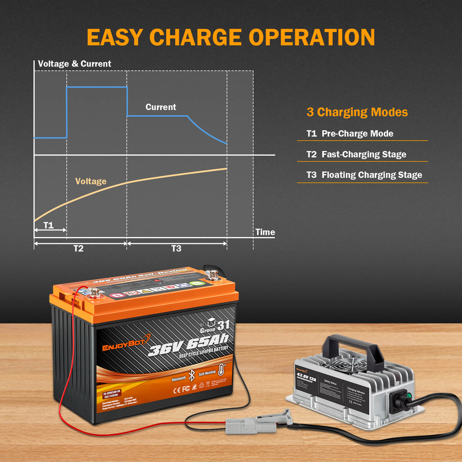 Enjoybot 43.8V 12A Mountable Dual-Purpose LiFePO4 Lithium Golf Cart Battery Charger Waterproof