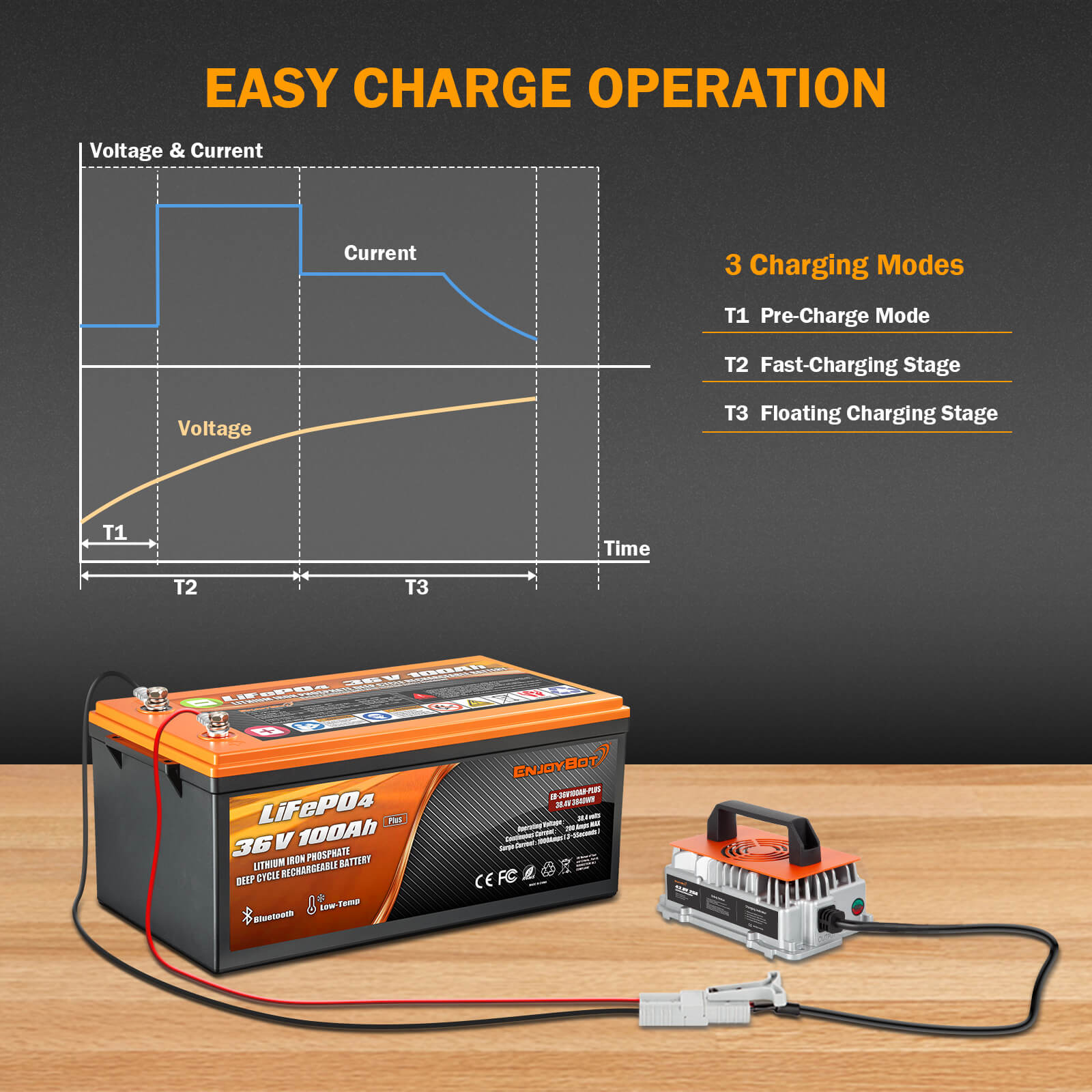 Enjoybot 43.8V 25A Waterproof Mountable LiFePO4 Lithium Battery Charger for 36V Lithium Battery