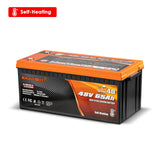 Enjoybot 48V 65Ah Self-Heating LiFePO4 Lithium Battery