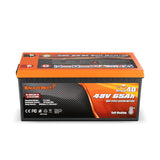 Enjoybot 48V 65Ah Self-Heating LiFePO4 Lithium Battery_3