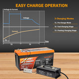 Enjoybot 14.6V (12V) 40A Dual-Purpose Lithium Battery Charger - 3 Charging Modes