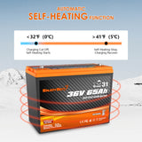 Enjoybot 36V 65Ah Group31 Self-Heating LiFePO4 Lithium Battery - 32°F Self-Heating