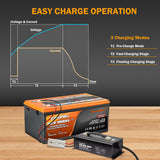 Enjoybot 43.8V 20A LiFePO4 Battery Charger with Ring Terminals_6