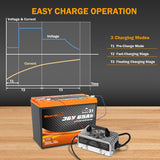 Enjoybot 43.8v 12A lithium battery charger - 3 charging modes